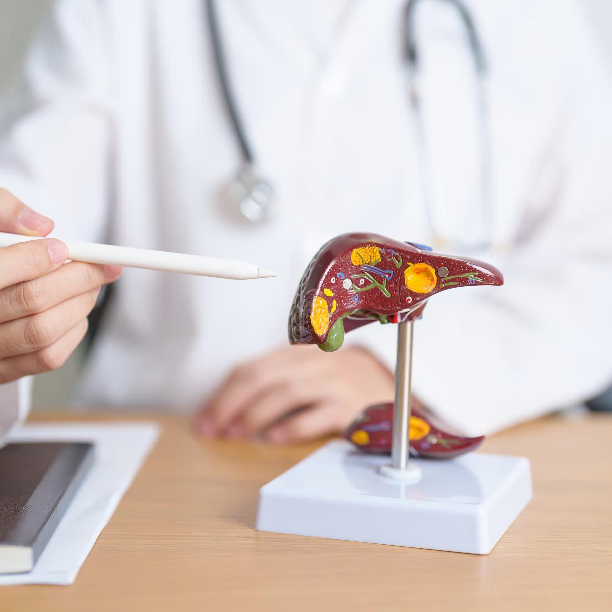 Liver & Metabolic Health