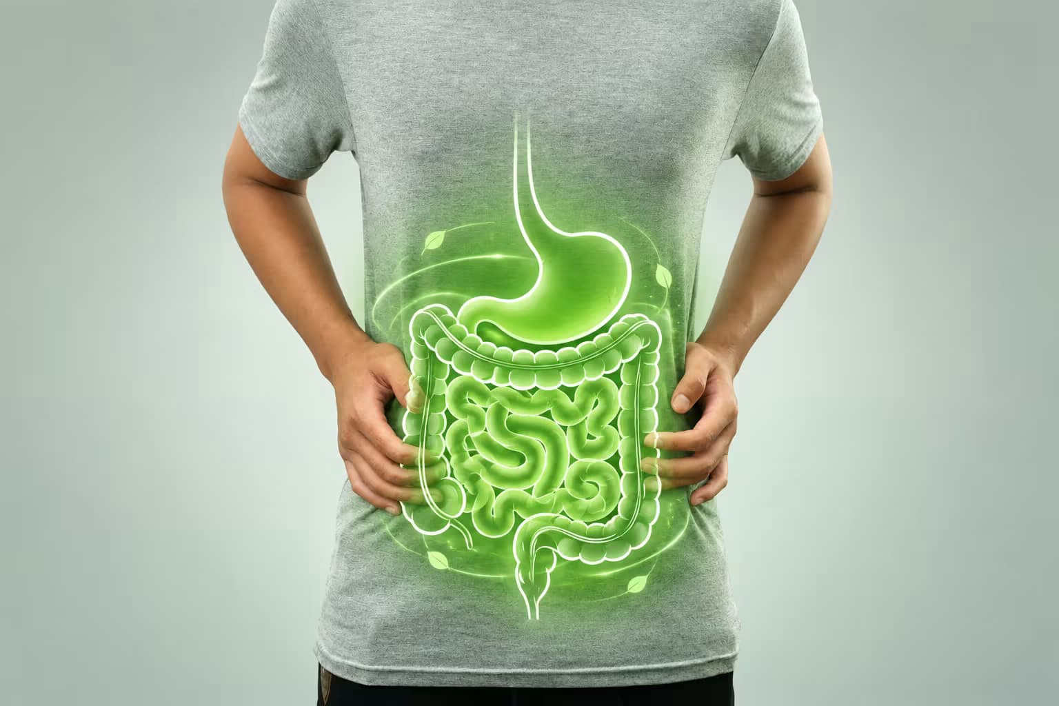 Gut health restoration — after